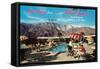 Greetings from Palm Springs-null-Framed Stretched Canvas