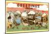 Greetings from Pocono Mountains, Pennsylvania-null-Mounted Art Print