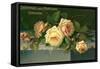 Greetings from Portland, Oregon, Roses-null-Framed Stretched Canvas