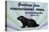 Greetings From Punxsutawney, Penna On Groundhog Day-Curt Teich & Company-Stretched Canvas