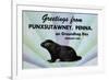 Greetings From Punxsutawney, Penna On Groundhog Day-Curt Teich & Company-Framed Art Print