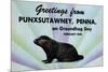 Greetings From Punxsutawney, Penna On Groundhog Day-Curt Teich & Company-Mounted Art Print