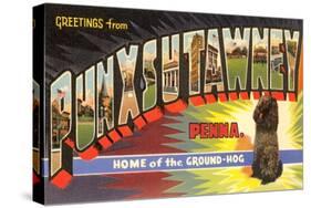 Greetings from Punxsutawney, Pennsylvania-null-Stretched Canvas