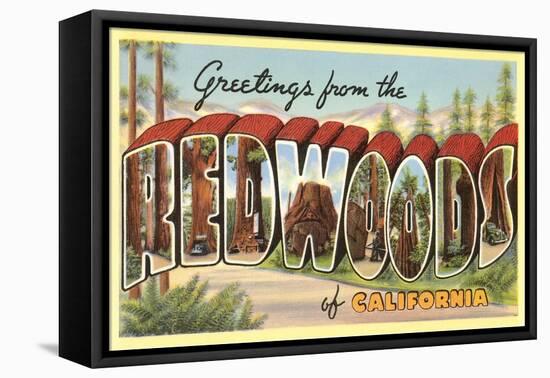 Greetings from Redwoods, California-null-Framed Stretched Canvas