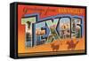 Greetings from San Angelo Texas-null-Framed Stretched Canvas