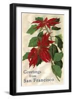 Greetings from San Francisco, California, Poinsettias-null-Framed Art Print