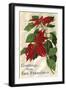 Greetings from San Francisco, California, Poinsettias-null-Framed Art Print