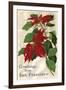 Greetings from San Francisco, California, Poinsettias-null-Framed Art Print