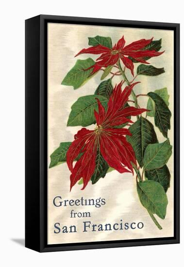 Greetings from San Francisco, California, Poinsettias-null-Framed Stretched Canvas