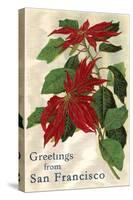 Greetings from San Francisco, California, Poinsettias-null-Stretched Canvas