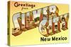 Greetings from Silver City, New Mexico-null-Stretched Canvas