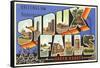 Greetings from Sioux Falls, South Dakota-null-Framed Stretched Canvas