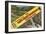 Greetings from Smoky Mountains-null-Framed Art Print