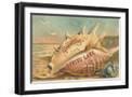 Black Frame