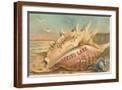 Brown Frame