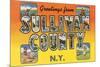 Greetings from Sullivan County, New York-null-Mounted Premium Giclee Print