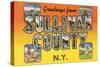 Greetings from Sullivan County, New York-null-Stretched Canvas