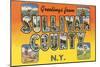 Greetings from Sullivan County, New York-null-Mounted Art Print