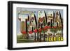 Greetings from Tampa, Florida-null-Framed Art Print