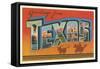 Greetings from Texas v2-Wild Apple Portfolio-Framed Stretched Canvas