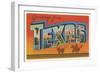 Greetings from Texas v2-Wild Apple Portfolio-Framed Premium Giclee Print