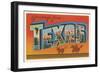 Greetings from Texas v2-Wild Apple Portfolio-Framed Art Print