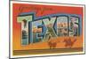 Greetings from Texas v2-Wild Apple Portfolio-Mounted Art Print
