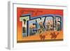 Greetings from Texas-null-Framed Art Print