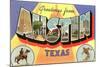 Greetings from Texas-null-Mounted Art Print