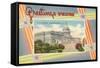 Greetings from the US Capitol-null-Framed Stretched Canvas