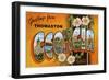 Greetings from Thomaston, Georgia-null-Framed Art Print