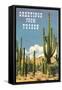 Greetings from Tucson, Arizona, Saguaros-null-Framed Stretched Canvas