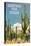 Greetings from Tucson, Arizona, Saguaros-null-Stretched Canvas