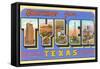 Greetings from Tyler, Texas-null-Framed Stretched Canvas