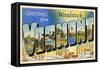 Greetings from Woodstock, Vermont-null-Framed Stretched Canvas