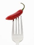 A Red Chilli on a Fork-Greg Elms-Photographic Print