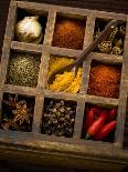 Assorted Spices in Type Case-Greg Elms-Photographic Print