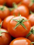 Fresh Tomatoes-Greg Elms-Photographic Print