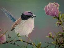 Bird of Paradise-Greg Farrugia-Giclee Print