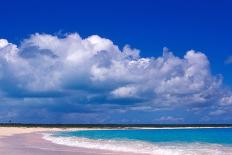 Stingray City, Grand Cayman, Cayman Islands, Caribbean-Greg Johnston-Photographic Print