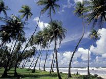 View of Manzanilla Bay, Port of Spain, Trinidad, Caribbean-Greg Johnston-Photographic Print