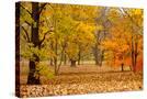 Stretched Canvas