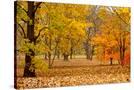 Stretched Canvas