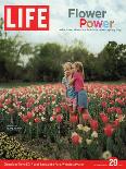 Two Girls Sharing a Secret Standing in Tulip Beds at a Dallas Flower Show, April 29, 2005-Greg Miller-Mounted Photographic Print