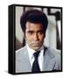 Greg Morris, Mission: Impossible (1966)-null-Framed Stretched Canvas