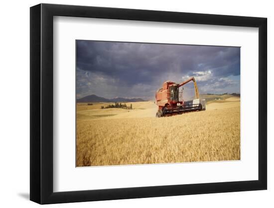 Premium Photographic Print, , large