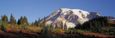 Hillside of Aspen Trees and Evergreen Trees, La Plata County, Colorado-Greg Probst-Photographic Print