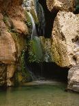 Waterfall in Elves Chasm, Colorado River, Grand Canyon NP, Arizona-Greg Probst-Photographic Print