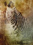 Africa Zebra-Greg Simanson-Giclee Print