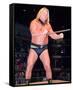 Greg Valentine-null-Framed Stretched Canvas